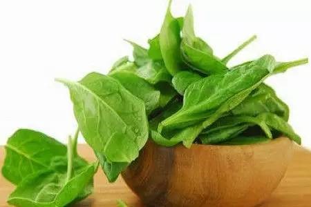 13种食物10